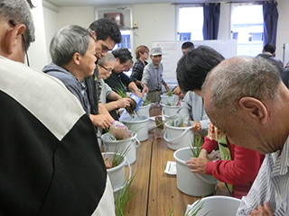 めだかの学校