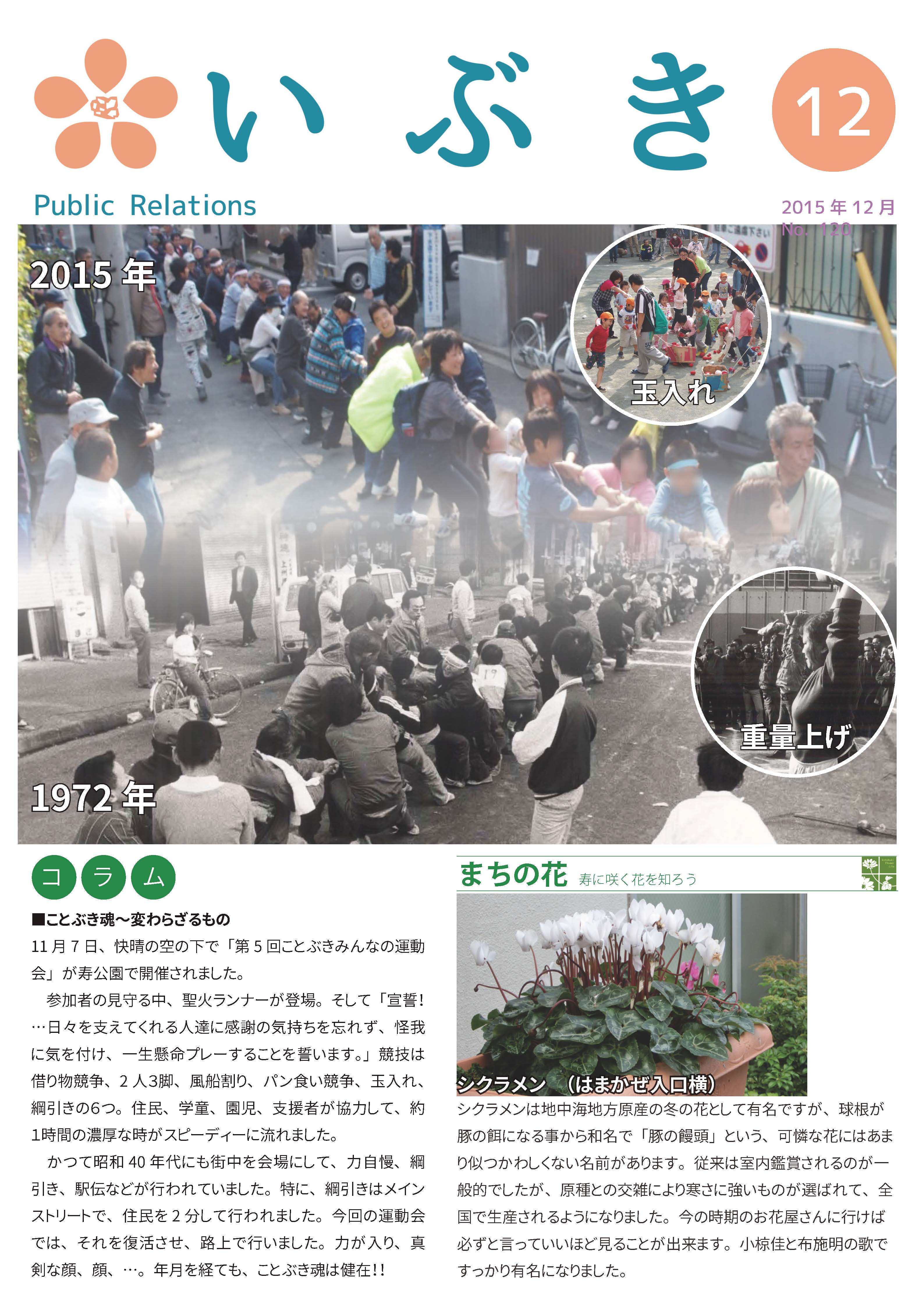広報紙いぶき2015年12月号（No.120）